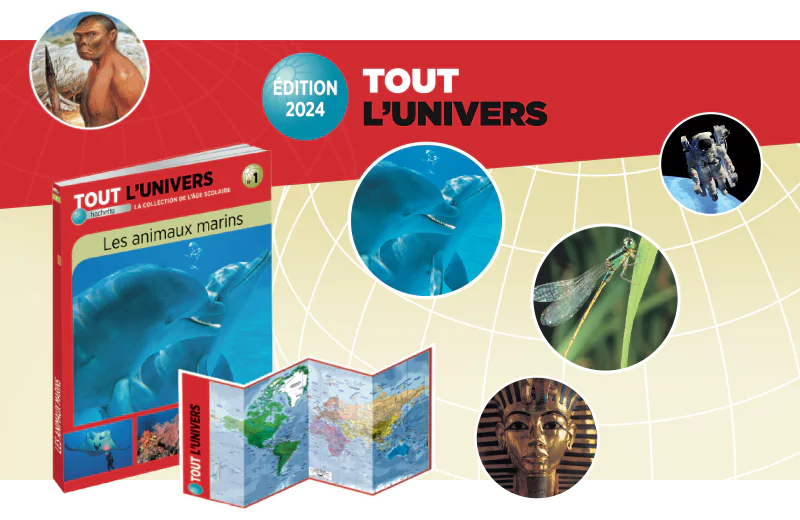 Tout l'Univers - Édition 2024