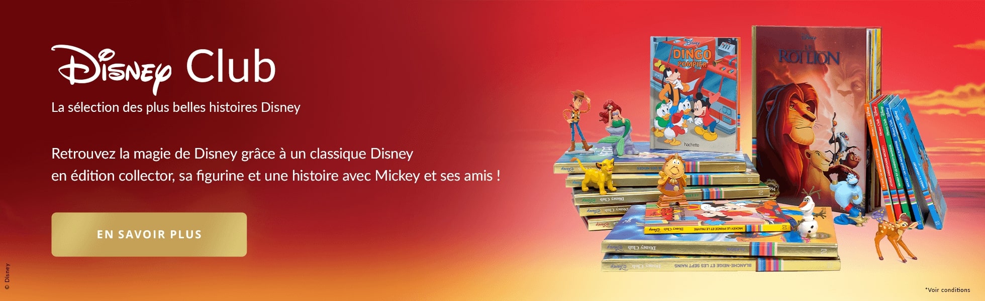 Disney Club