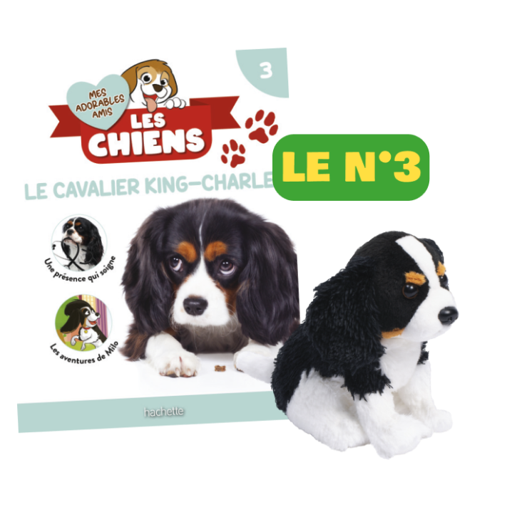Le N°3 : Le fascicule + la peluche Cavalier King Charles
