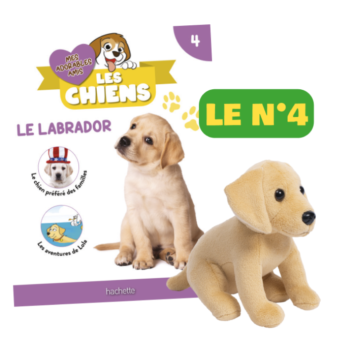 Le N°4 : Le fascicule + la peluche Labrador