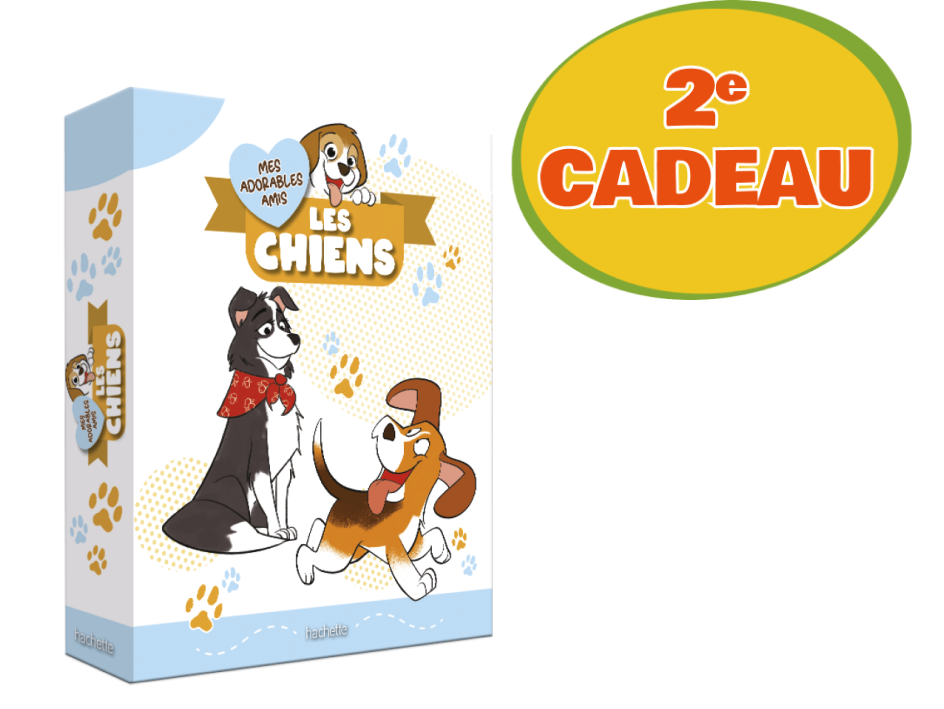 Le classeur de la collection