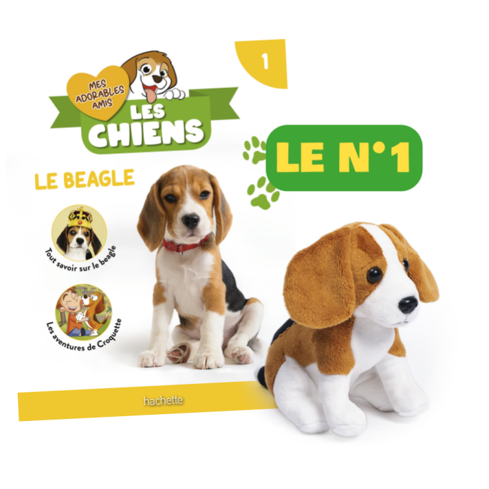 Le N°1 : Le fascicule + la peluche Beagle