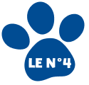 N°4