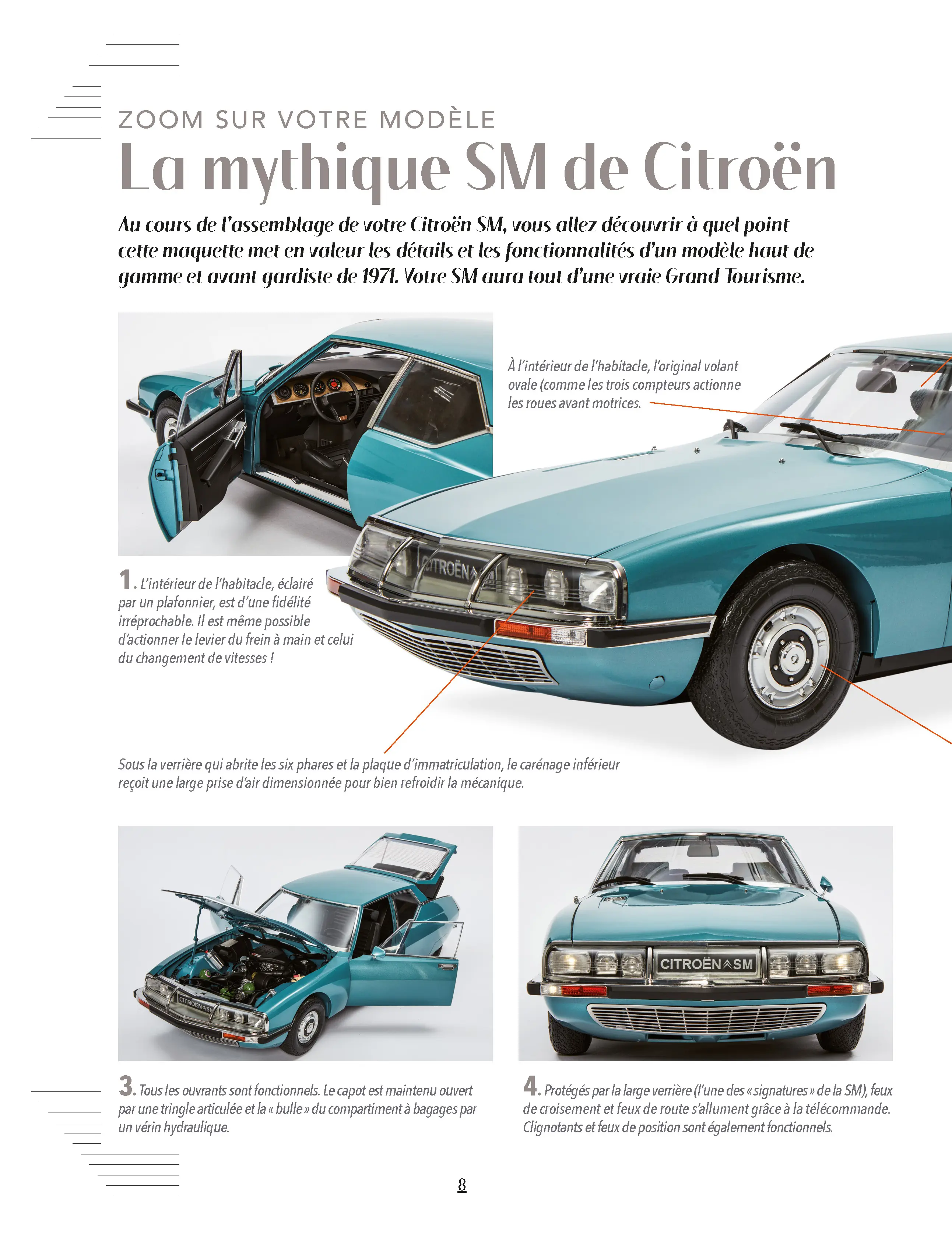 LE N°1 : Le fasicule